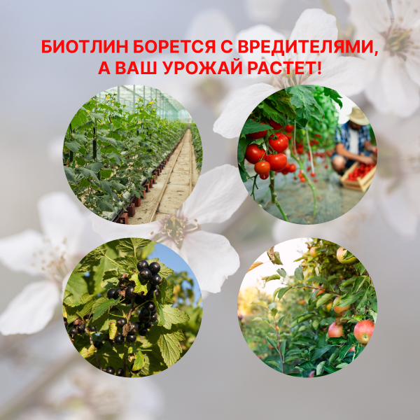 Биотлин 3 мл