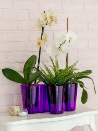 Кашпо для орхидей Азалия d=130 h=190, сиреневый