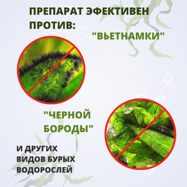Антибородин средство против водорослей в аквариуме 1 л Антибородин средство против водорослей в аквариуме 1 л