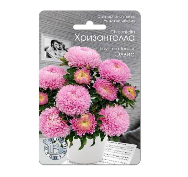 Семена Астра китайская Хризантелла Элвис АГ Биотехника Семена Астра китайская Хризантелла Элвис АГ Биотехника