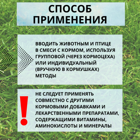 Кормовая добавка Биовит-80 10% 450 г