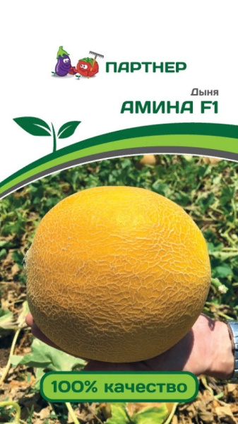 Семена Дыня Амина F1 5 шт Партнер