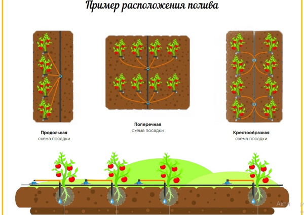 Комплект Синьор Помидор PRO с таймером 8 программ