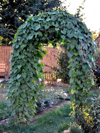 Арка садовая металлическая разборная Ромб h 250 см, зеленая