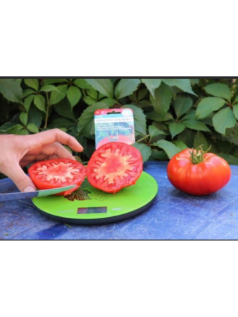 Семена Томат Бифселлер красный F1 15 шт Сибирский сад, 2 шт