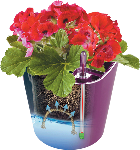 Горшок с автополивом Комфорт 3,5 л ПИ-25-13ТХ d-16 h-17 см Какао Горшок с автополивом Комфорт 3,5 л ПИ-25-13ТХ d-16 h-17 см Какао