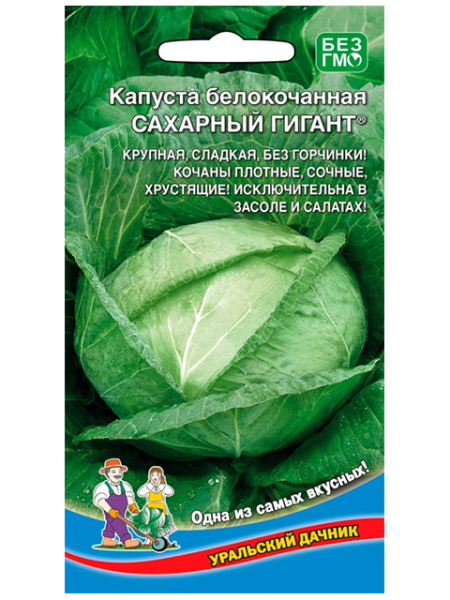 Семена Капуста белокочанная Сахарный гигант Уральский Дачник Семена Капуста белокочанная Сахарный гигант Уральский Дачник