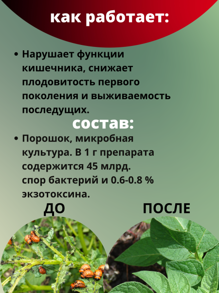 Битоксибациллин биопрепарат для защиты садовых растений от насекомых вредителей 20 г, 20 шт