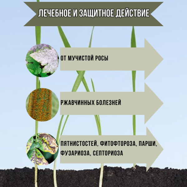 Биопрепарат Биокомплекс-БТУ защита от болезней и питание ЭкоДачник 0,5 л