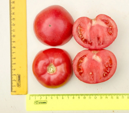 Семена Томат Эволюция F1 10 шт Партнер