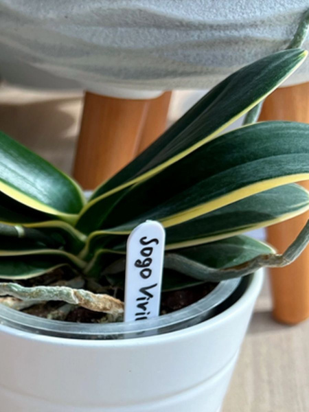 Набор ярлыков 25 шт длина 15,2 см с карандашом