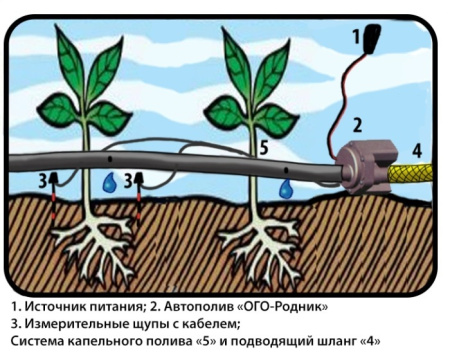 Комплект автополива АКП-6 ОГО-Родник-2