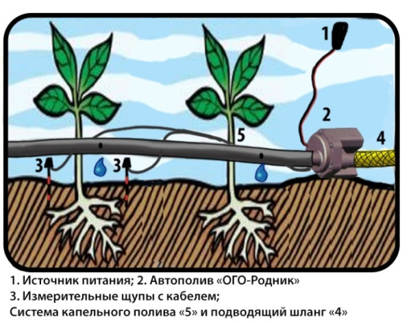 Комплект автополива АКП-6 ОГО-Родник-2