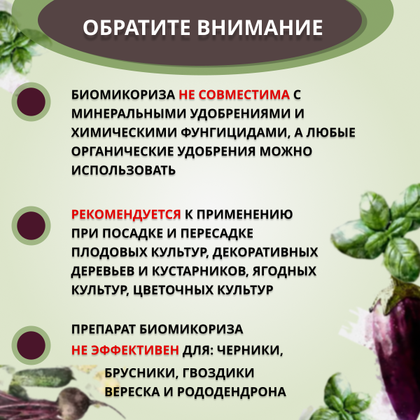БиоМикориза 20 г, 5шт БиоМикориза 20 г, 5шт