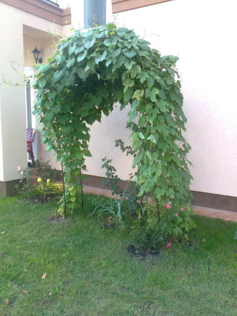 Арка садовая металлическая разборная Ромб h 250 см, зеленая