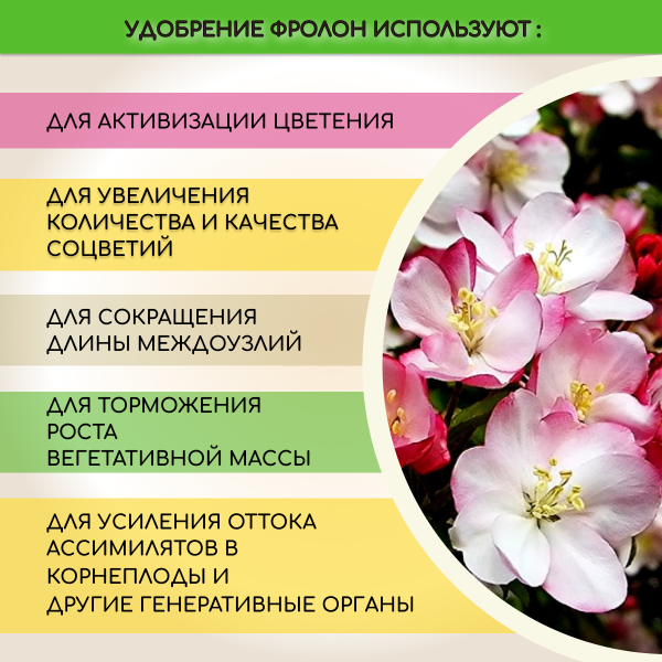 Биостимулятор Флорон 100 мл