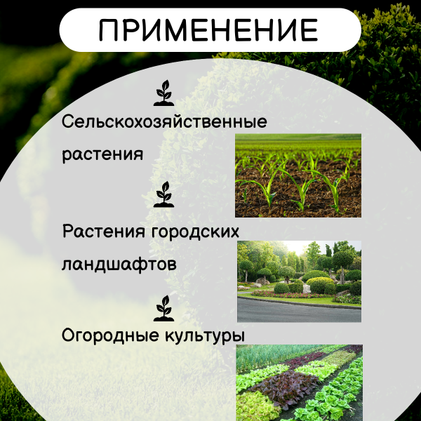 Биофунгицид с бактериально-гуминовым комплексом АФГ-В