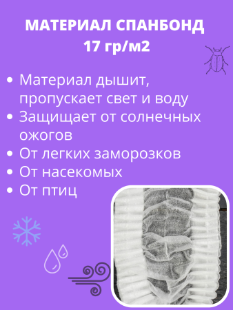 Шапочка с УФ для капусты 20 шт