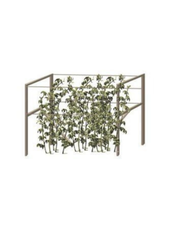 Опора для малины Коричневая 150*50*2 см комплект из 2 шт PEKGDSM МС-Про