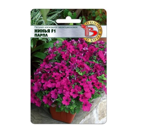 Семена Петуния каскадная мелкоцветковая Нинья Парпл F1 АГ Биотехника Семена Петуния каскадная мелкоцветковая Нинья Парпл F1 АГ Биотехника