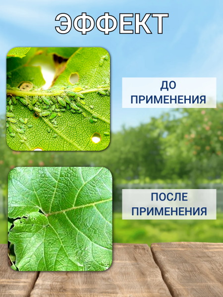 Рапсол Экстра 1 л