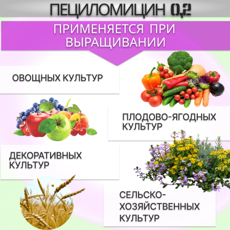 Биоинсектицид Пециломицин РМ116 0,2 от медведки, проволочника, личинок совки, колорадского и майского жуков 1 кг