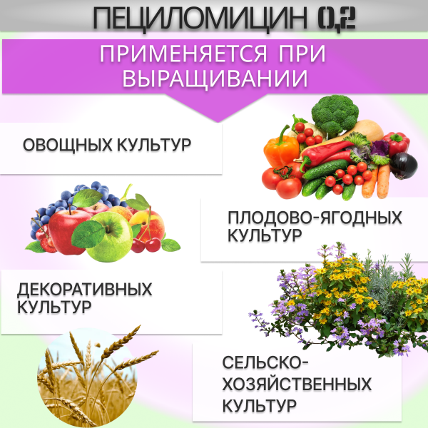 Биоинсектицид Пециломицин РМ116 0,2 от медведки, проволочника, личинок совки, колорадского и майского жуков 1 кг