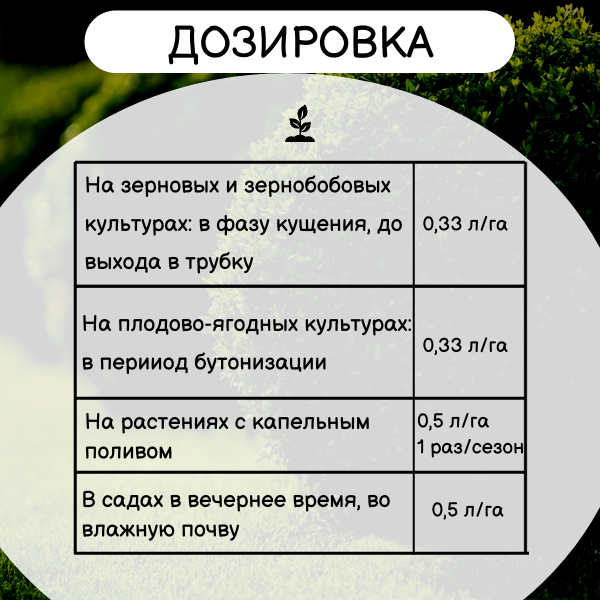 Биофунгицид с бактериально-гуминовым комплексом АФГ-В