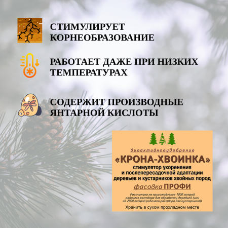 Биопрепарат Крона-ХВОИНКА 4 гр