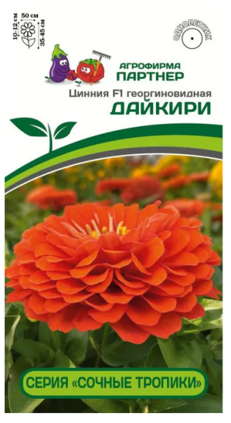 Семена Цинния F1 ДАЙКИРИ / георгиновидная 4шт Партнер 2-ной пак