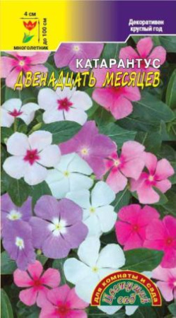 Семена Катарантус Двенадцать месяцев комнатн. Цветущий сад