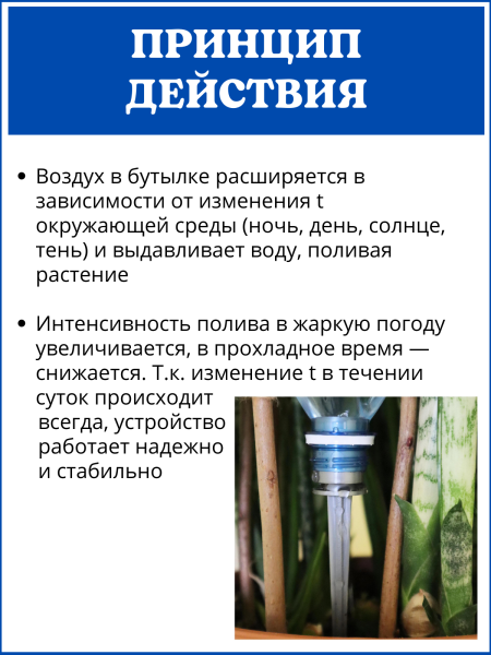 Автополив для комнатных растений, насадка на бутылку Капель, 4 шт Автополив для комнатных растений, насадка на бутылку Капель, 4 шт