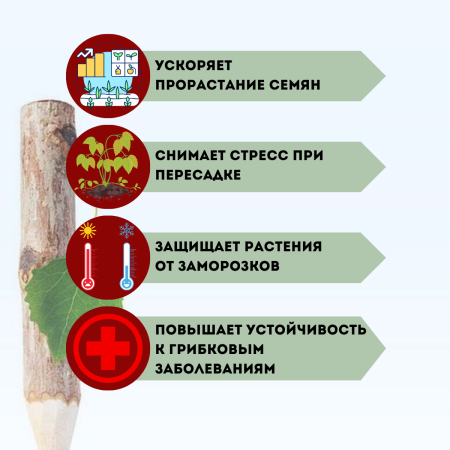 Эпин Экстра, 2 шт по 50 мл