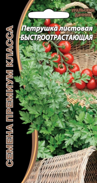 Семена Петрушка листовая Быстроотрастающая Уральский Дачник Семена Петрушка листовая Быстроотрастающая Уральский Дачник