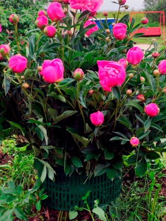 Защитно-декоративное ограждение, 4 шт, ширина 34,5 см, высота 20,5 см