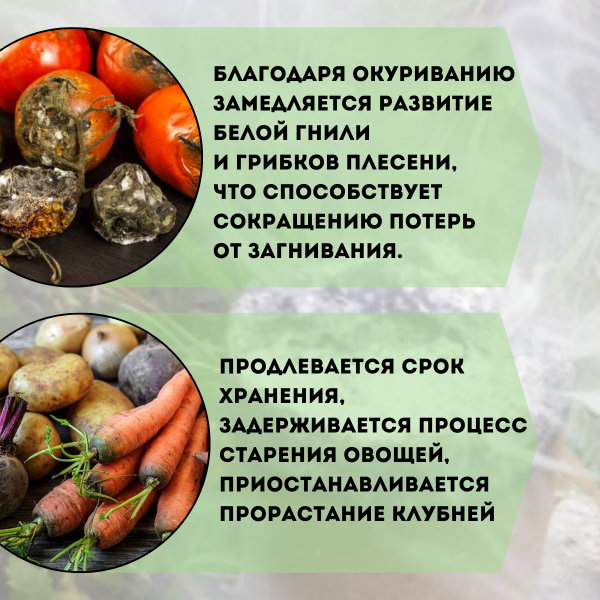 Дымовая шашка Гефест Хранение для предотвращения развития плесени 220 г, 2 шт