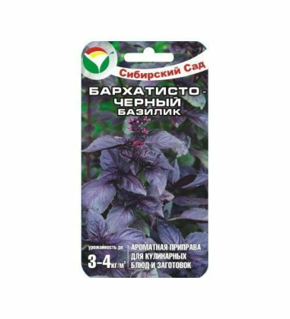 Семена Базилик Бархатисто-черный 0,5 гр Сибирский сад, 2 шт