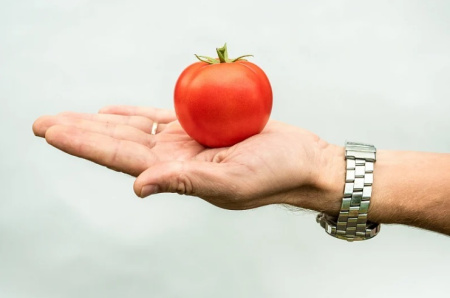 Семена Томат Верочка F1 0,1 гр Партнер