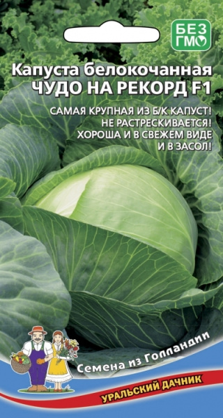 Семена Капуста белокочанная Чудо на рекорд F1 Уральский Дачник
