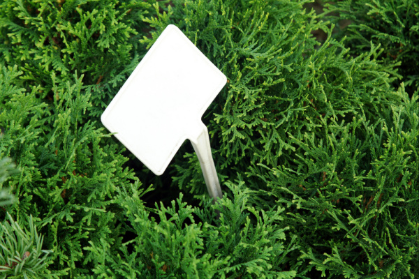 Бирка для рассады наклонная белая h 30 см