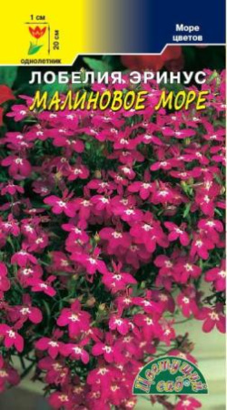 Семена Лобелия Море Малиновое Цветущий сад