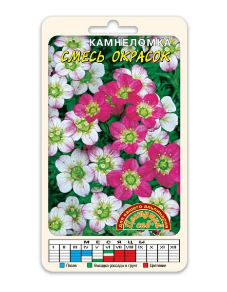 Семена Камнеломка Смесь окрасок Цветущий сад