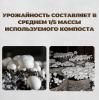 Мицелий грибов Шампиньон белый на субстрате 60 мл, набор 10шт