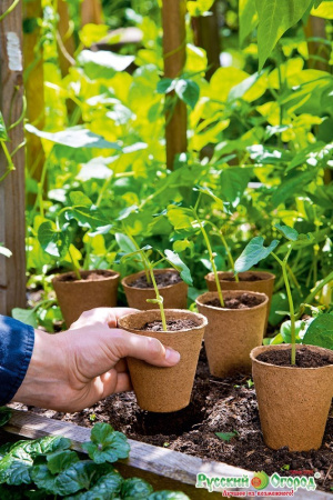 Торфяной горшочек 60*60 круглый 1 шт