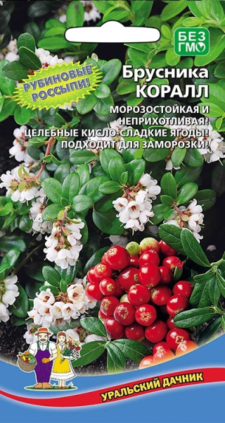Семена Брусника Коралл Уральский Дачник Семена Брусника Коралл Уральский Дачник