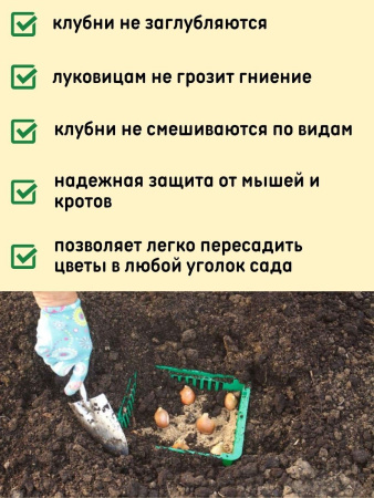 Корзина для луковичных прямоугольная набор 5 шт Корзина для луковичных прямоугольная набор 5 шт