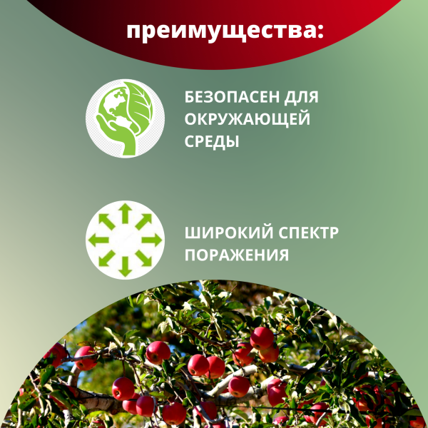 Битоксибациллин биопрепарат для защиты садовых растений от насекомых вредителей 20 г, 6 шт