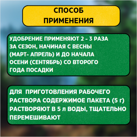 Ортон Хвойная игла 5 г