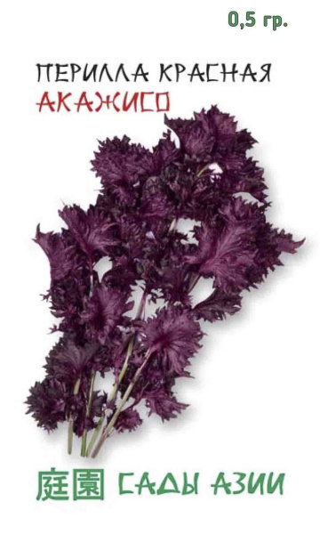 Семена Перилла Красная Акажисо 0,5 гр Сады Азии