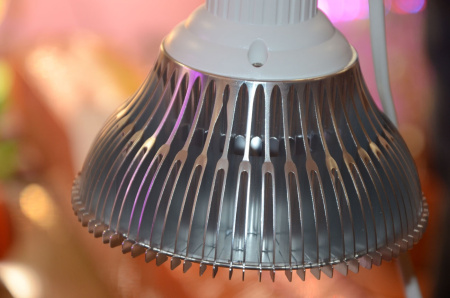 Фитолампа светодиодная Е27 12W Фулл Комфорт